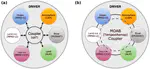 Improving climate model coupling through a complete mesh representation: a case study with E3SM (v1) and MOAB (v5.x)